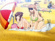 Big titted anime babes on the beach